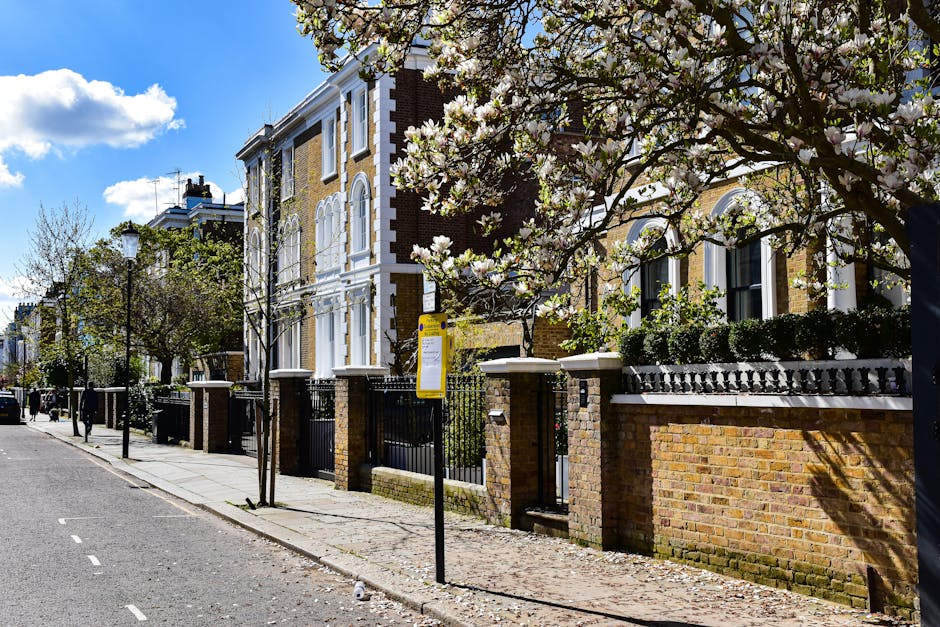 The image depicts a residential garden scene in Pimlico with lush green plants and trees, including a prominent shrub with dark green, glossy leaves situated near a white building facade. The garden f